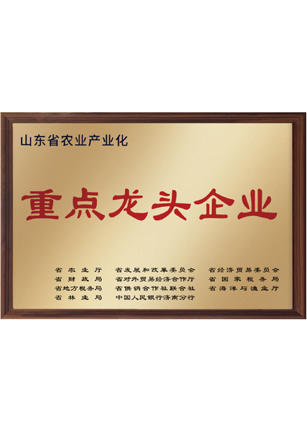  重点龙...